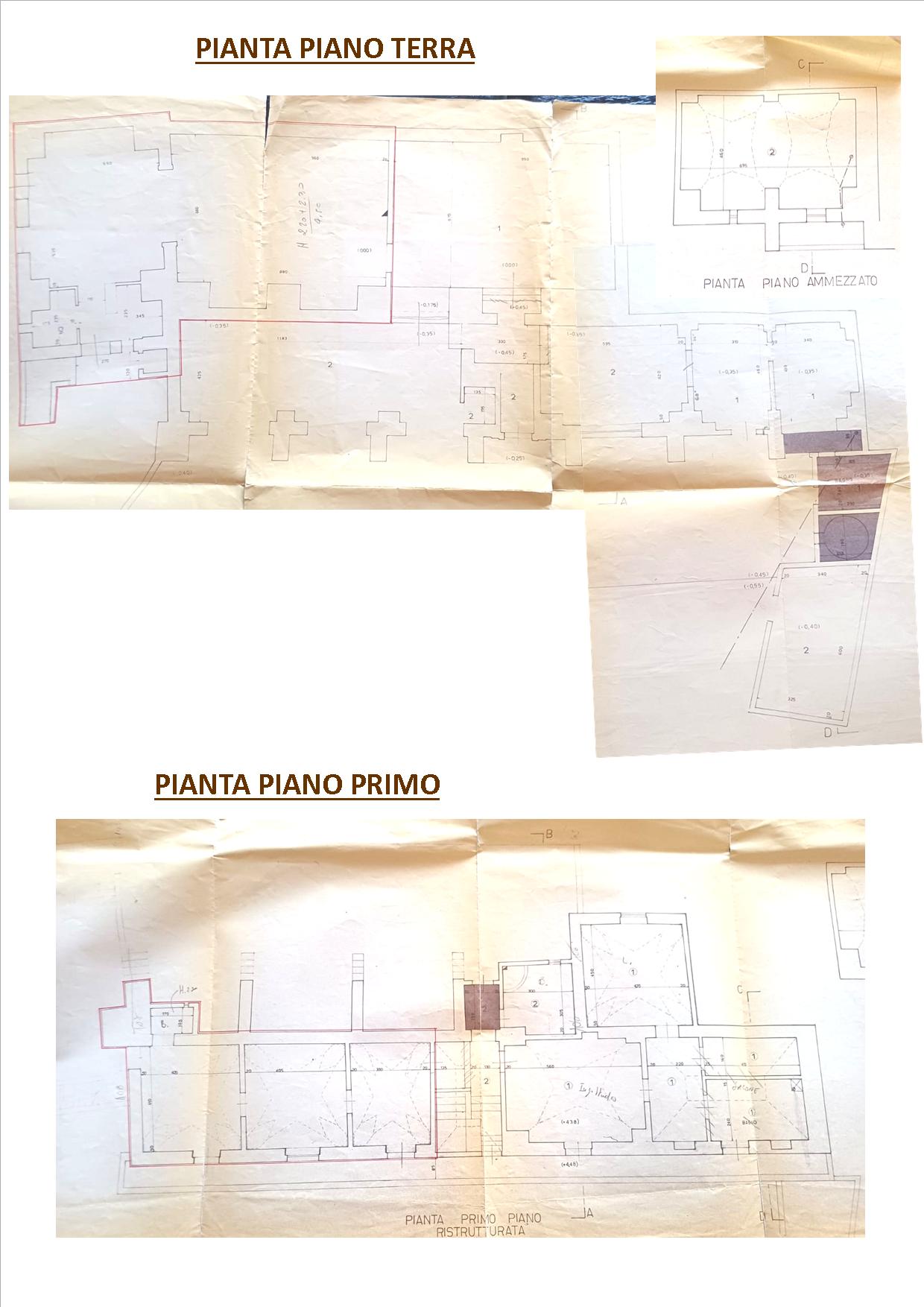 CONTRADA AMICI